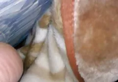 Zwei Knoten xxx deutsch kostenlos in Dessous ficken mit einem Männchen